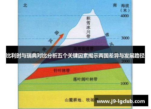 比利时与瑞典对比分析五个关键因素揭示两国差异与发展路径
